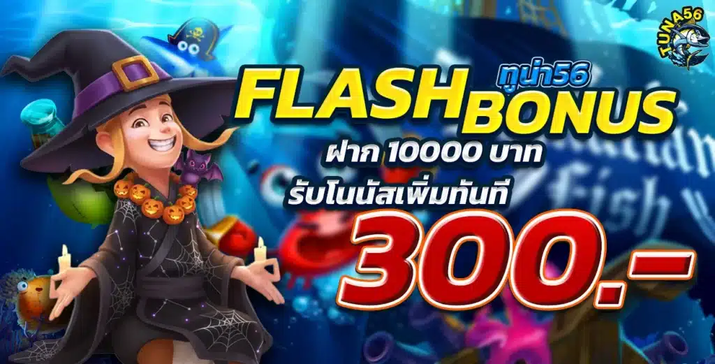 แฟลชรับเพิ่ม300